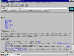 Netscape 2.02