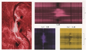 Example from the horizontal spectrogarph