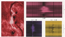 水平分光器による観測例