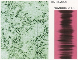 垂直分光器による観測例