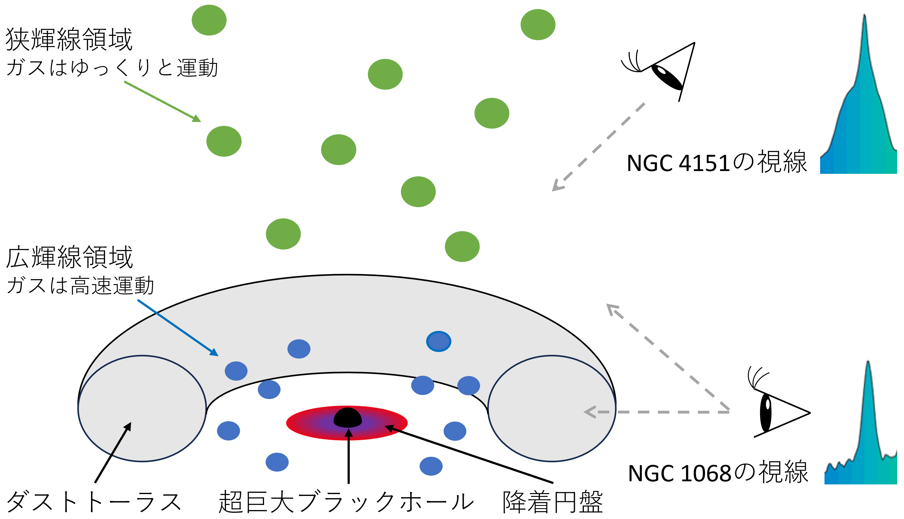 活動銀河核統一モデル