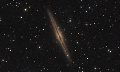 NGC 891 銀河