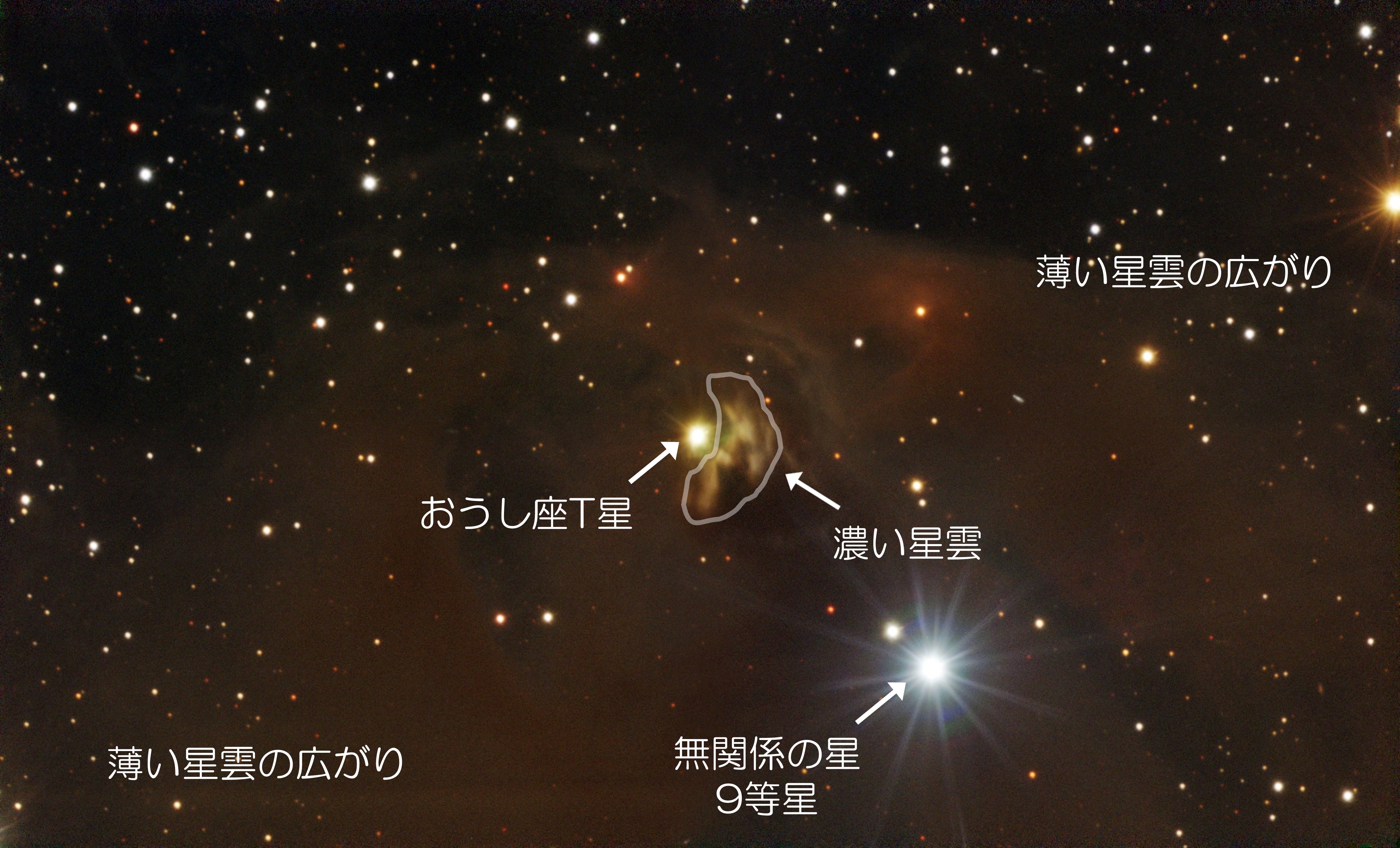 おうし座T星周辺解説