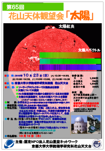 チラシのサムネイル