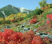 [乗鞍の風景]