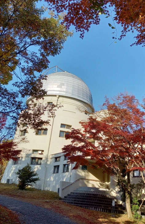 紹介記事へのリンク