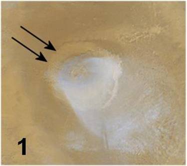 figure1.JPG