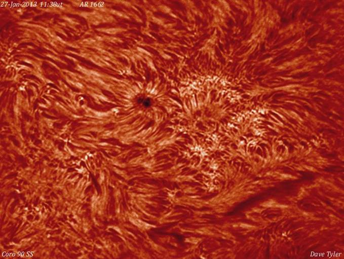 DTy_Sun2013Jan27_1138_dbvt_ar1662.jpg