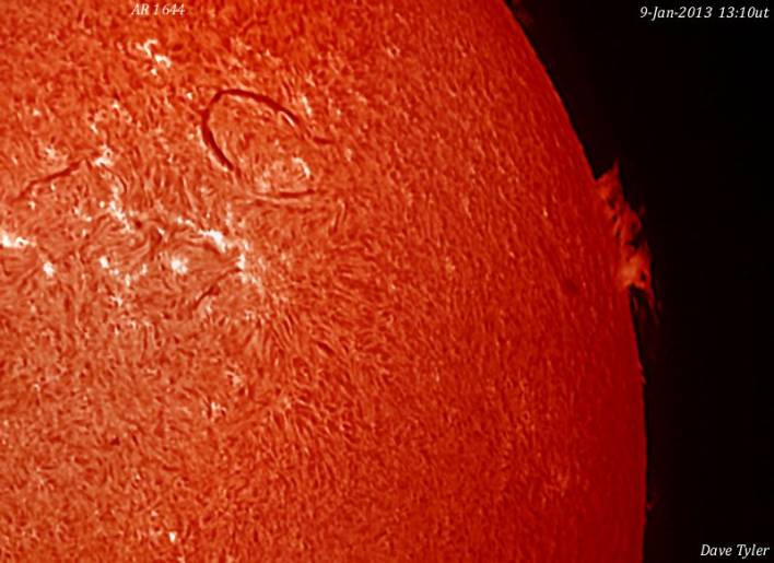 DTy_Sun2013jan09_1310.jpg