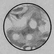 LCM=058