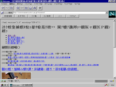 Netscape 3.03