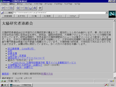 Netscape 3.03